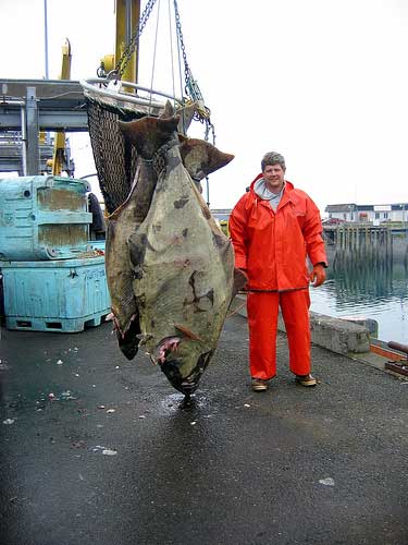 Alaskan Fisherman